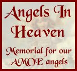 amoememorial.jpg