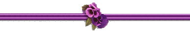 violabar.gif